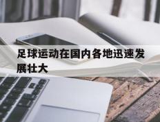 海德体育-足球运动在国内各地迅速发展壮大